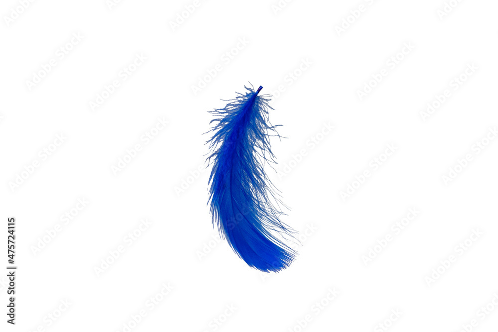 Blue feather isolated on white background. Blue feather isolated on white background.