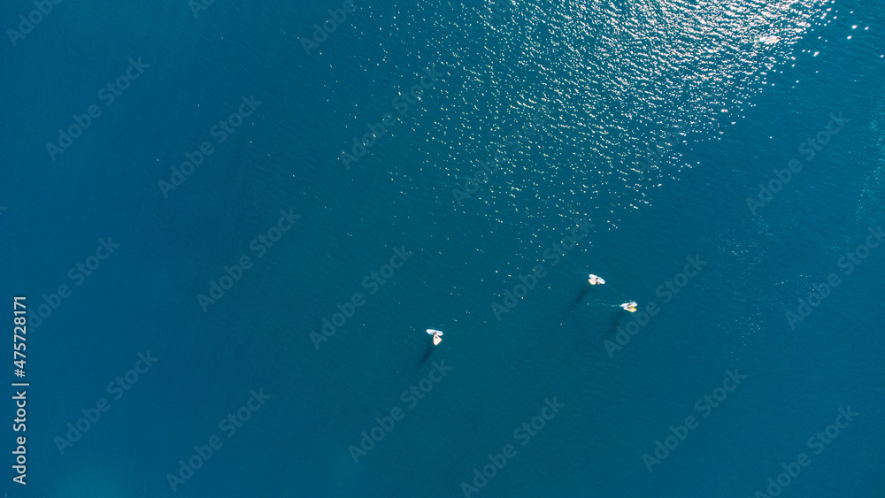 Fototapeta premium Drone aerial view of windsurfers on a blue ocean sea waters.