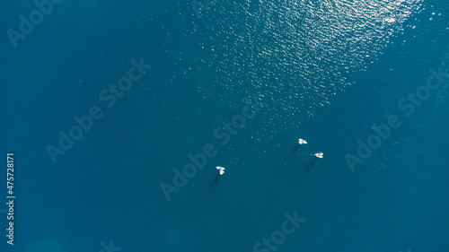 Drone aerial view of windsurfers on a blue ocean sea waters.