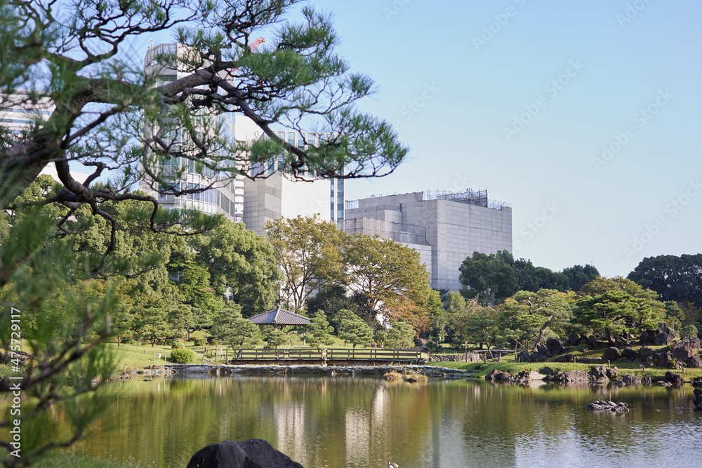Obraz premium ビル街の中にある日本庭園