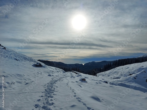 winter mountain landscape © Teodor