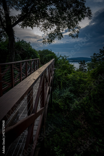 Bridge New York island water forest 