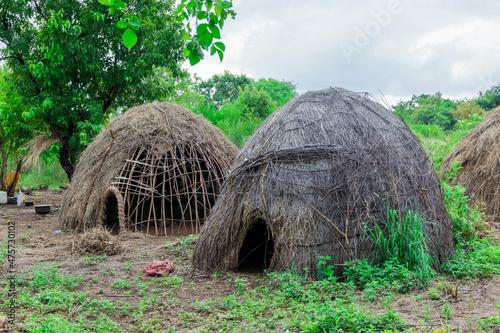 Traditional Houses in Mursi tribe village, Omo valley, Ethiopia photo