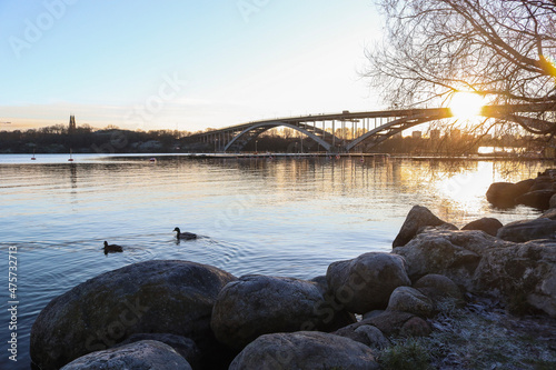 Photography Pair of ducks traversing the river of central Stockholm, Sweden.