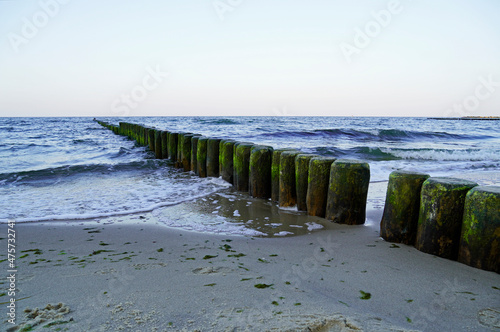 Baltic coast on Usedom with groynes made of wood. Baltic Sea in the evening. 
