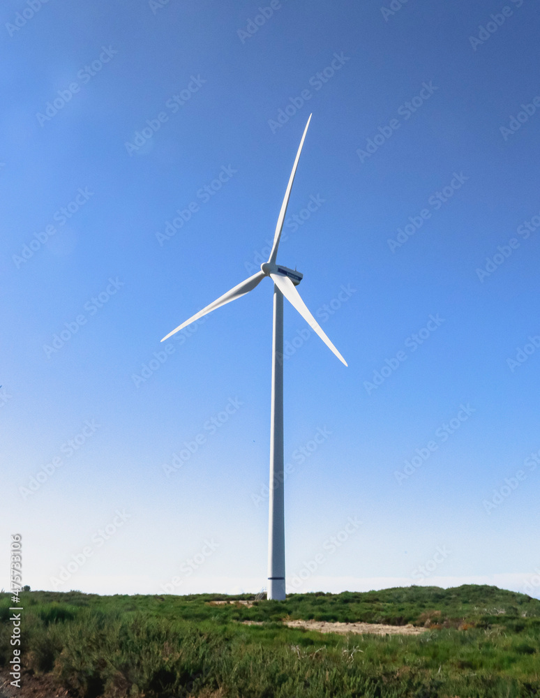 custom made wallpaper toronto digitalLone wind turbine atop the mountains of Madeira island, Portugal.