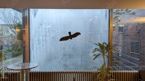 Vogel Aufkleber zum Schutz vor Vögel und Glasscheiben