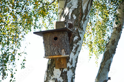 Fotografiet Rustic birdhouse on the trunk of a birch.