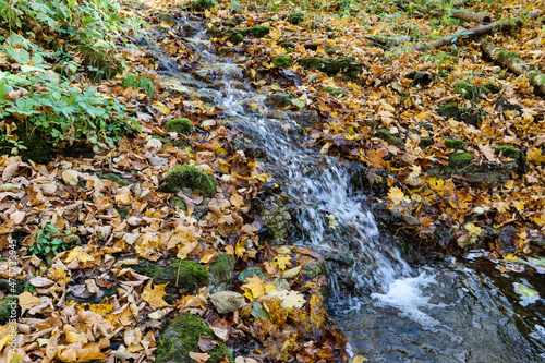 A small waterfall with fallen tree leaves in autumn
