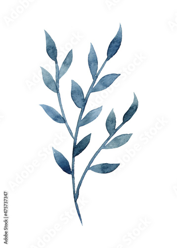 Watercolor blue branch isolated on white background