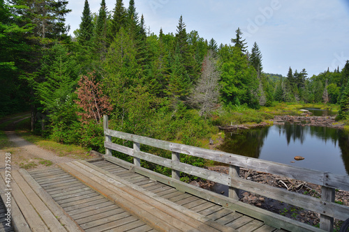 Wooden bridge and rail with calm fresh water lake and trees from boreal forest. 