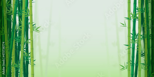 Vector illustration of green bamboo forest with blurred background and copy space for your text. The natural backgrounds
