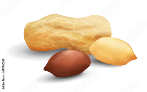 Vector realistic image of peanuts in shell and peeled walnut with shadows. Isolated on a white background. 3D icon set