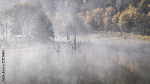 Obraz na płótnie Landscape of a lake covered in the fog in a forest in autumn in Shangri-La City,