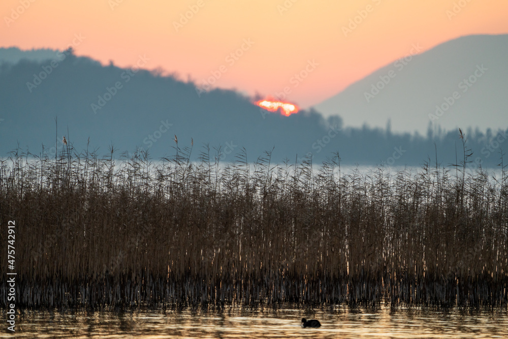 Sunset over the lake of biel