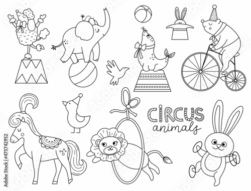 Vector black and white set with circus animals. Amusement holiday line icons pack. Cute funny festival characters clipart. Street show comedians coloring page with elephant, bear on bike, lion.