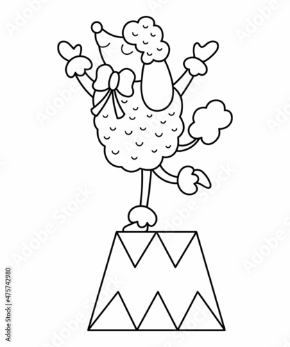 Black and white poodle on a stand. Vector circus animal. Amusement holiday dog line icon. Cute funny festival character outline clip art. Street show comedian illustration or coloring page.