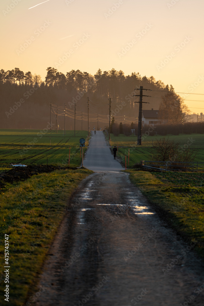 Fototapeta premium long swiss Road during sunset