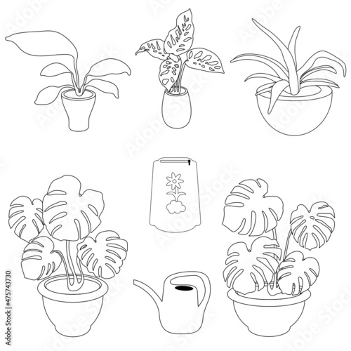 set of home plants svg vector illustration for coloring