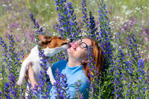 A young woman among the wildflowers hugs the cheerful Jack Russell Terer. Fun, play and love of man and dog. photo