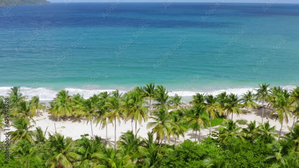 Palm jungles cover the entire tropical peninsula. The sea in the lagoon plays with all shades of blue under the rays of the bright sun. The wild Rincon Beach stretches along the entire coast. Palm jungles cover the entire tropical peninsula. The sea in the lagoon plays with all shades of blue under the rays of the bright sun. The wild Rincon Beach stretches along the entire coast.