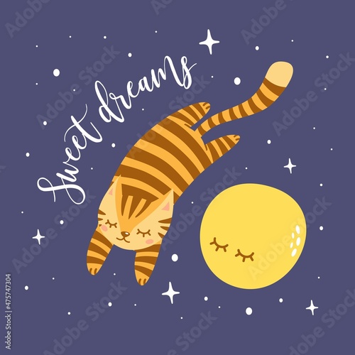 A cute cat flies nearby in the moon in space. Children's illustration. Night sky and stars. Vector illustration for print on baby clothes.