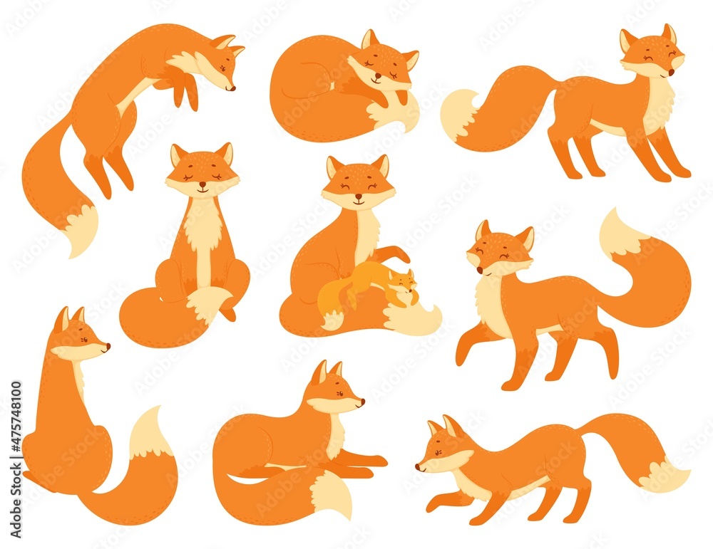 Cartoon red foxes sitting or sleeping, wildlife forest animals. Cute baby fox with mother, woodland animal mascot in different poses vector set. Smiley clever character walking, hunting