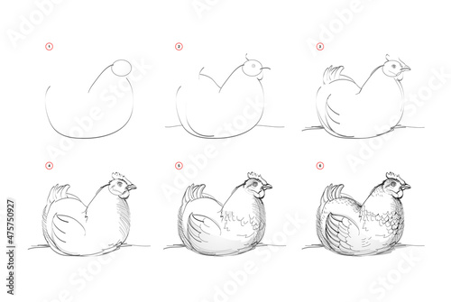 Page shows how to learn to draw sketch of hen. Creation step by step pencil drawing. Educational page for artists. Textbook for developing artistic skills. Online education. Vector illustration photo