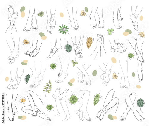Collection. Silhouettes of human legs and leaves in a modern one line style. Plants solid drawing  decor outline  wall poster  stickers  logo. Vector illustration set.
