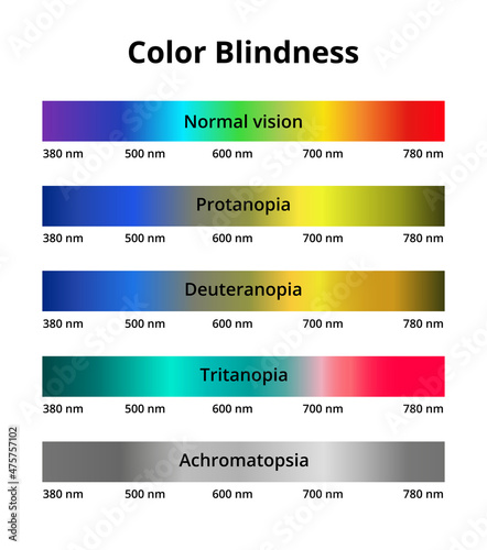 Vector illustration of color blindness or colorblindness. Normal vision, protanopia, tritanopia, deuteranopia, achromatopsia. Decreased ability to see color. Color vision deficiency visible spectrum. photo