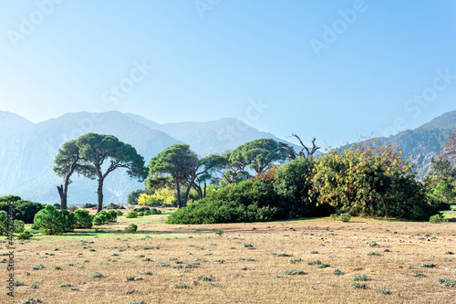 Fototapeta Naklejka Na Ścianę i Meble -  tropical seaside landscape near Cirali village in Beydagları National Park in Turkey