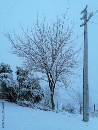 lamppost and landscape under snow