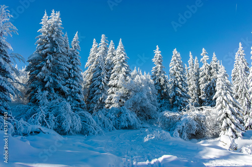 Winter landscape of Vitosha Mountain, Bulgaria