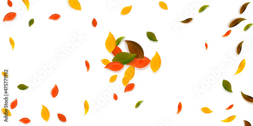 Falling autumn leaves. Red, yellow, green, brown c