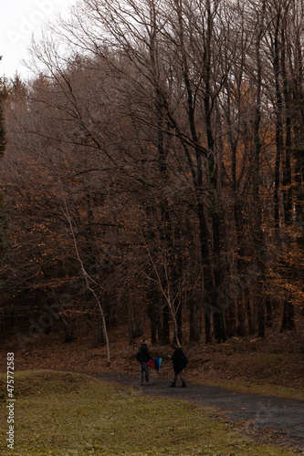 A girl and a boy are walking forest in autumn. Lovely couple is hiking in forest. They have an umbrella. Colorful tree leaves © burhan