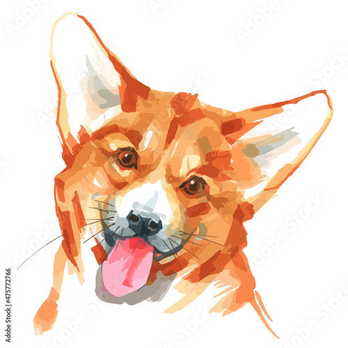 Vector illustration of  pembroke welsh corgi portrait.