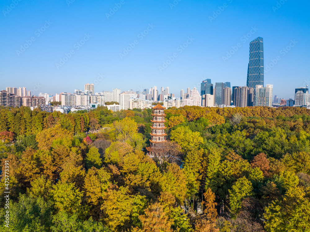 Obraz premium Wuhan Liberation Park late autumn scenery in Hubei, China
