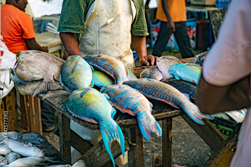 Dar es salaam tanzania photo