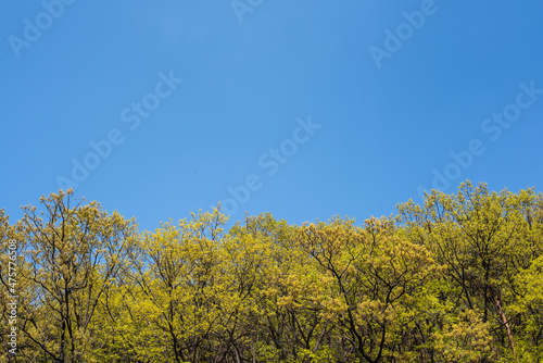 Canvas Print If you go hiking in Korea, you can meet such beautiful scenery.