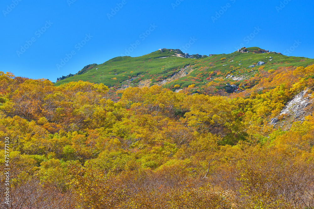 秋の中央アルプス空木平