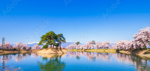 春イメージ 信州の桜風景