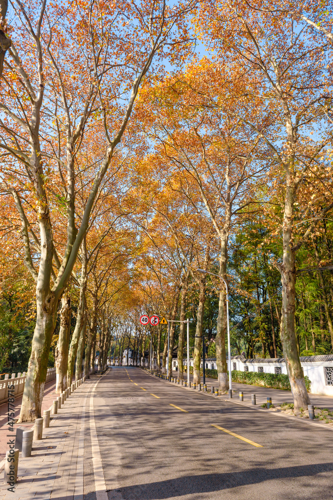 Hubei Wuhan East Lake Scenic Area Late Autumn Scenery Hubei Wuhan East Lake Scenic Area Late Autumn Scenery
