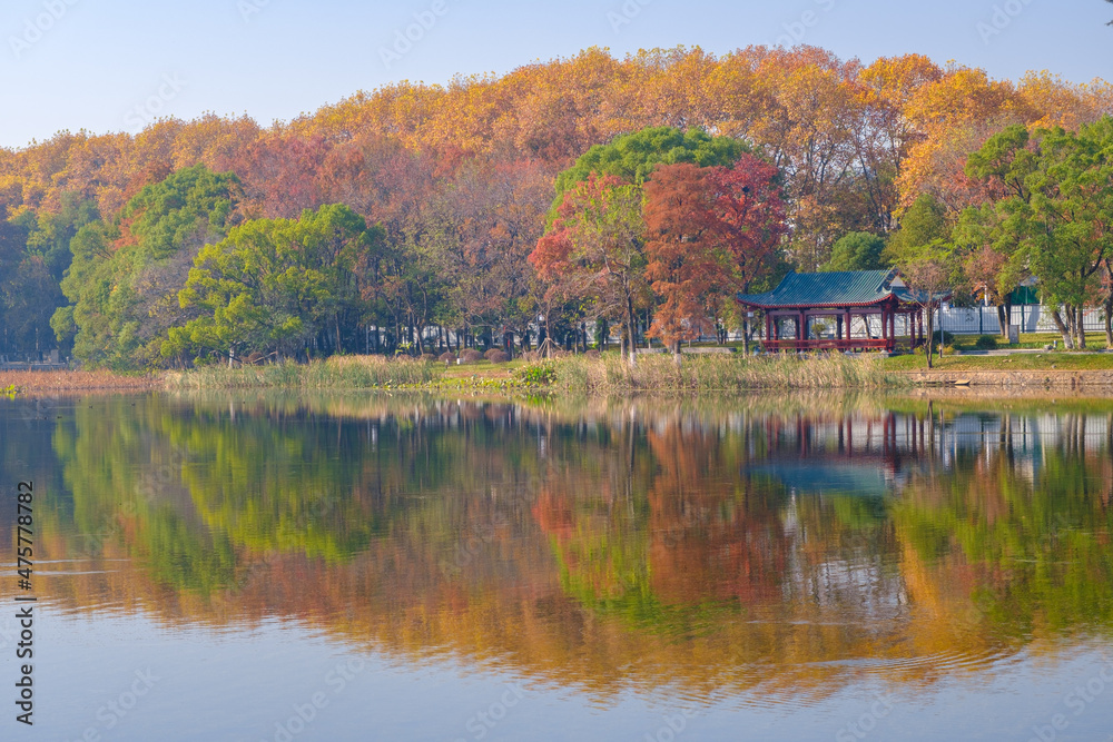 Hubei Wuhan East Lake Scenic Area Late Autumn Scenery