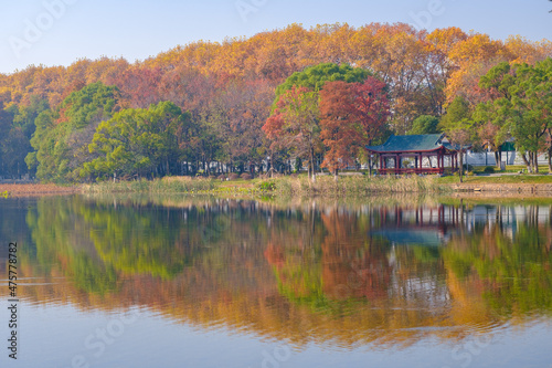 Fototapeta Naklejka Na Ścianę i Meble -  Hubei Wuhan East Lake Scenic Area Late Autumn Scenery