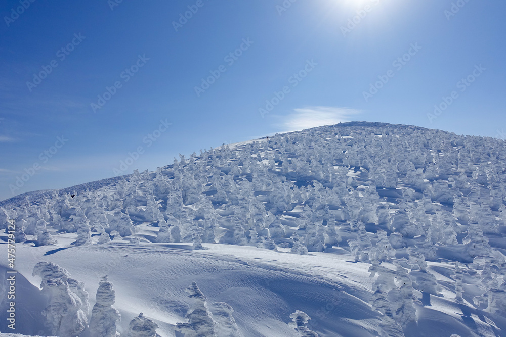 青空と樹氷 蔵王山頂 青空と樹氷 蔵王山頂