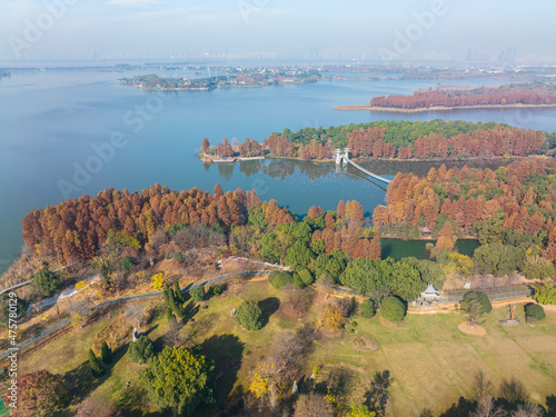 Hubei Wuhan East Lake Scenic Area Late Autumn Scenery photo