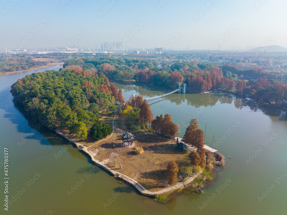 Hubei Wuhan East Lake Scenic Area Late Autumn Scenery
