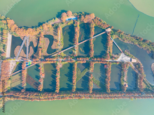 Hubei Wuhan East Lake Scenic Area Late Autumn Scenery photo