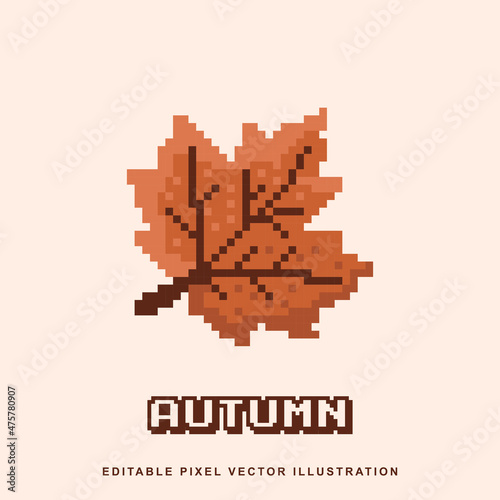 Pixel autumn leaf icon vector illustration for video game asset, motion graphic and others