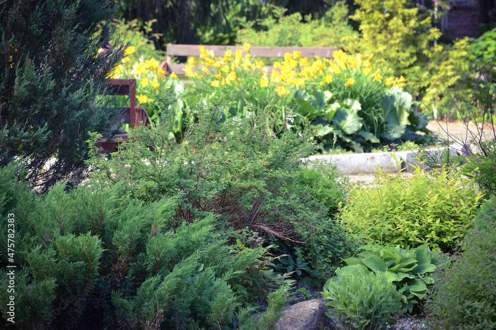 Obraz premium Colorful garden. Flowerbeds in a beautiful city park.